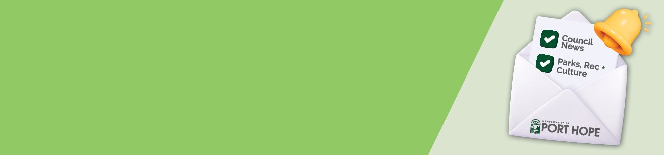 Green background with the back of a silver parked car visible